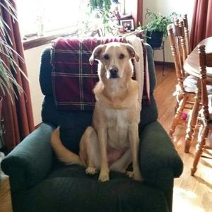 Meet your Posher, Laura